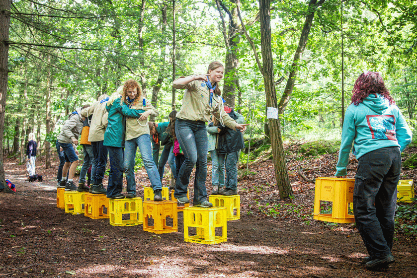 scouts pioneering